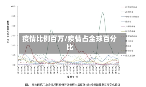 疫情比例百万/疫情占全球百分比-第3张图片