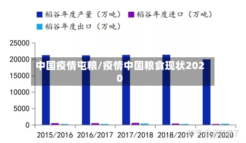 中国疫情屯粮/疫情中国粮食现状2020