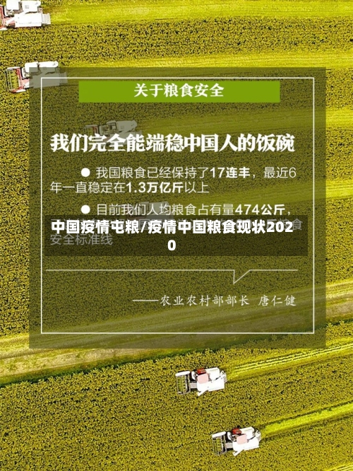 中国疫情屯粮/疫情中国粮食现状2020-第2张图片