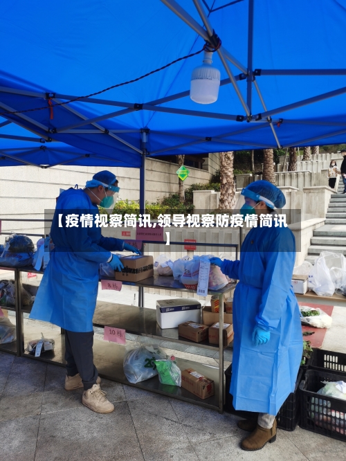 【疫情视察简讯,领导视察防疫情简讯】