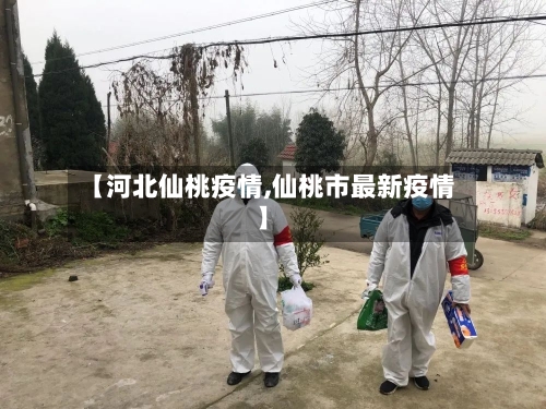 【河北仙桃疫情,仙桃市最新疫情】-第3张图片