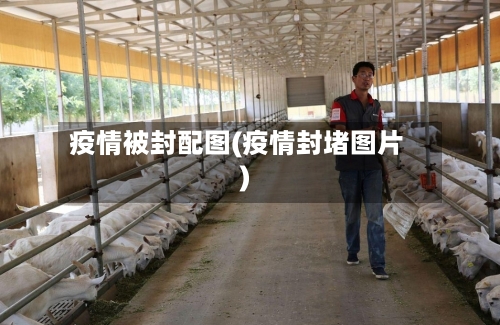 疫情被封配图(疫情封堵图片)