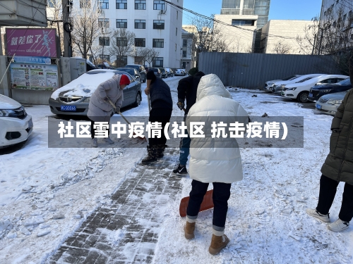 社区雪中疫情(社区 抗击疫情)