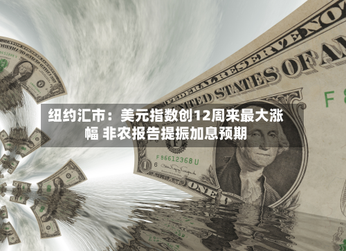 纽约汇市：美元指数创12周来最大涨幅 非农报告提振加息预期-第2张图片