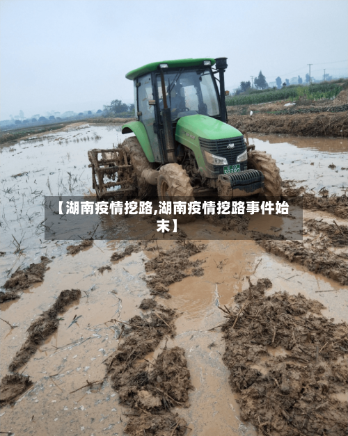 【湖南疫情挖路,湖南疫情挖路事件始末】