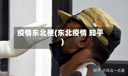 疫情东北梗(东北疫情 知乎)