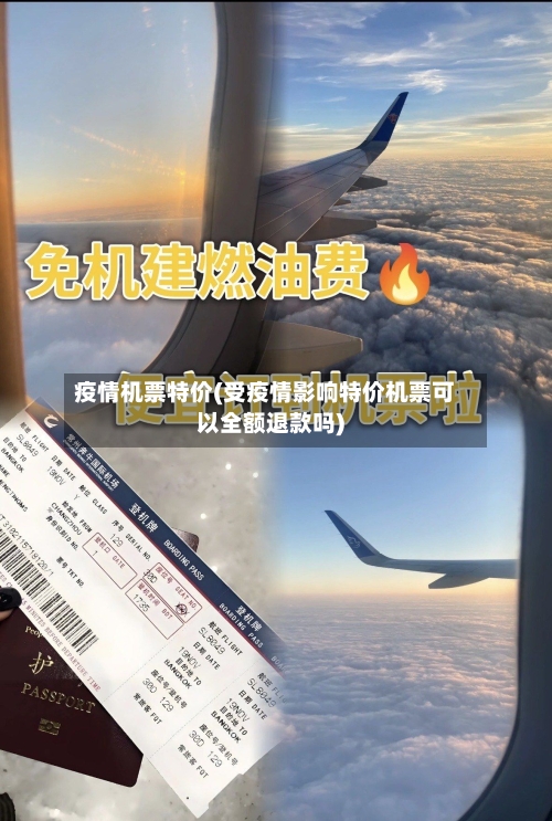疫情机票特价(受疫情影响特价机票可以全额退款吗)-第2张图片