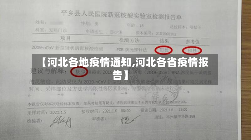 【河北各地疫情通知,河北各省疫情报告】