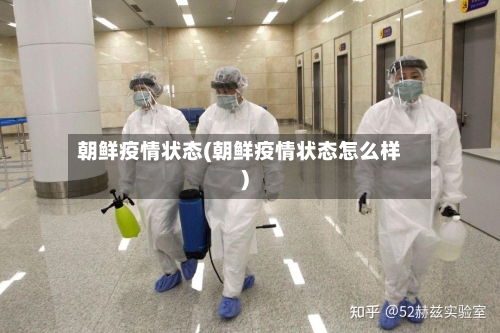朝鲜疫情状态(朝鲜疫情状态怎么样)-第3张图片