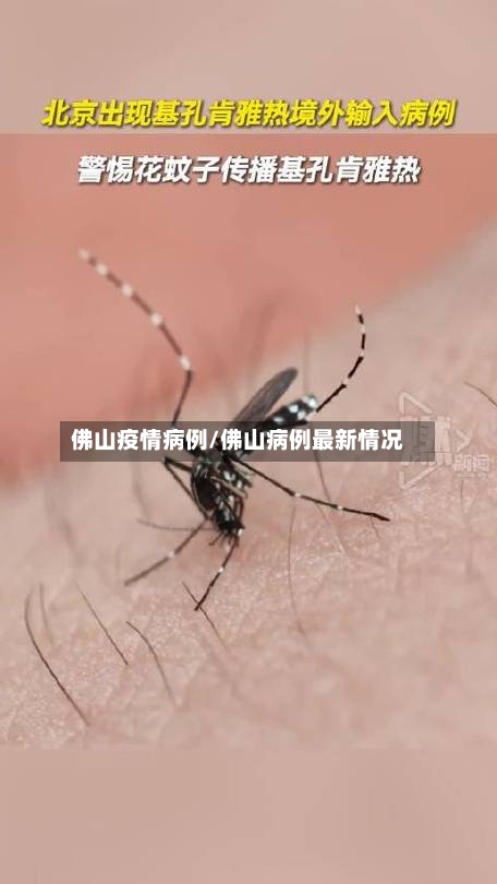 佛山疫情病例/佛山病例最新情况