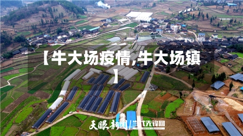 【牛大场疫情,牛大场镇】-第2张图片