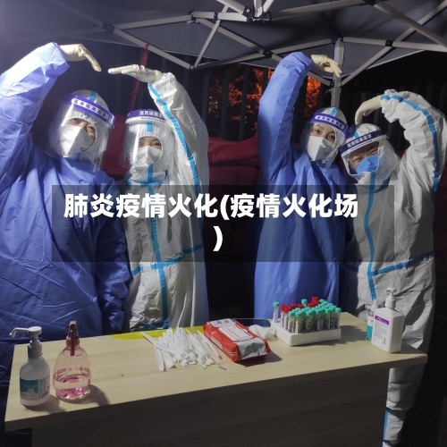 肺炎疫情火化(疫情火化场)-第2张图片