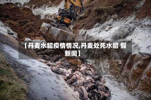 【丹麦水貂疫情情况,丹麦处死水貂 假新闻】-第2张图片