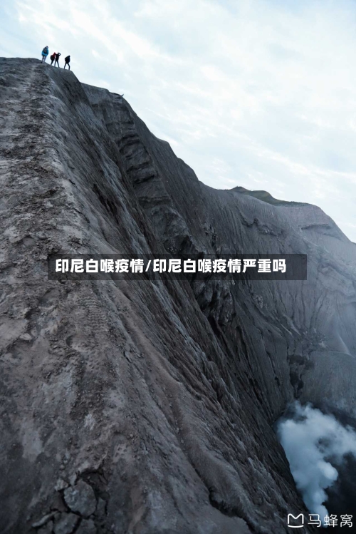 印尼白喉疫情/印尼白喉疫情严重吗-第2张图片