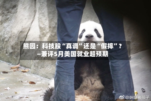 熊园：科技股“真调”还是“假摔”？—兼评5月美国就业超预期-第2张图片