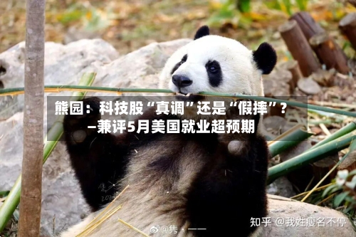 熊园：科技股“真调”还是“假摔”？—兼评5月美国就业超预期