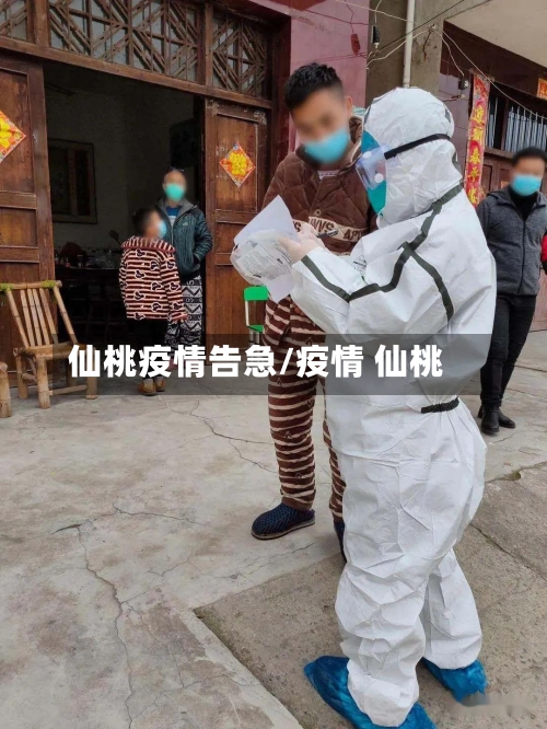 仙桃疫情告急/疫情 仙桃-第3张图片